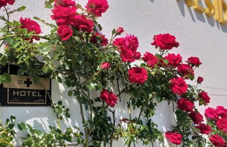 Residence Vogt - Photo 26