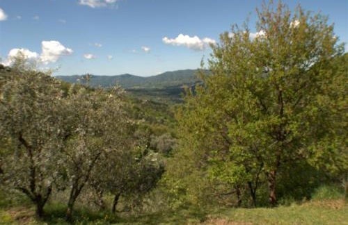 Casa Lina, Vallombrosa, wifi, private area - Foto 25