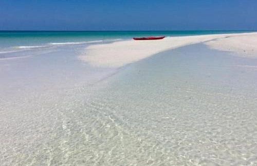 Cozy Guesthouse St Pete, 6 min to DT, Private - Foto 25