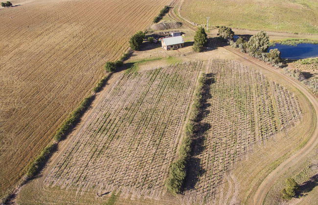 Charles Reuben Estate - Foto 38