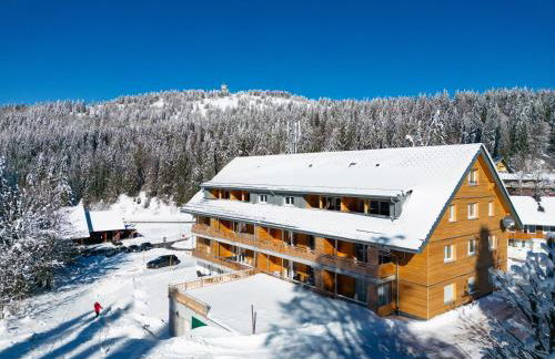 Stube9 am Feldberg, direkt an der Skipiste, Ski in-Ski out - Photo 8