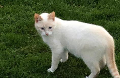 Casas Dos Infantes - Turismo Rural - Foto 36