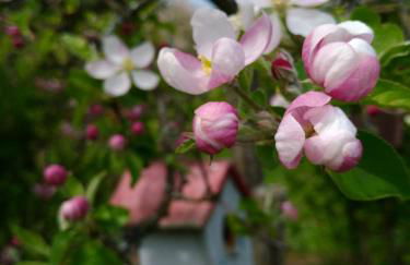 Ferienwohnungen und Gästezimmer Peter Busch - Foto 24