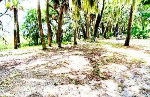 A Secluded Quiet Oasis with Beach Pass - Foto 35