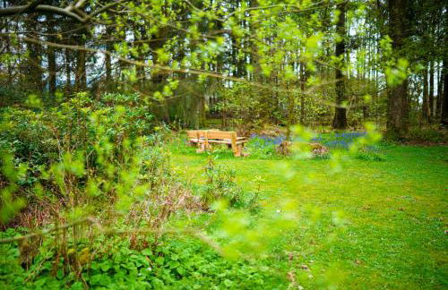 Heatheryhaugh Lodges - Foto 61