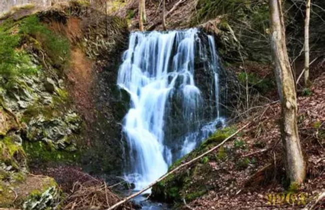 Ferienhaus in Wieda mit Garten - Foto 21