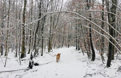 Vacation home with a view of nature, home theater, fireplace - Foto 12
