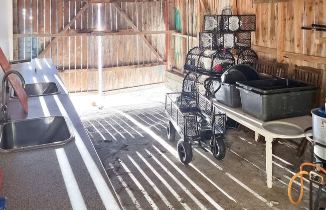 8 Person Holiday Home in Frei - Foto 36