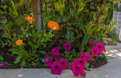 Apartment Luna i Lucky - Foto 33