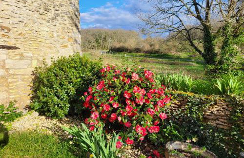 Domaine de Bagnegrole - Foto 60