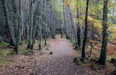 Bright, contemporary house & large private garden - Foto 30