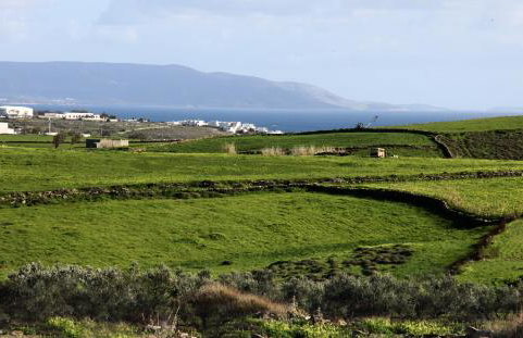 Stone Villa Kontiani - Red Villa - Photo 18