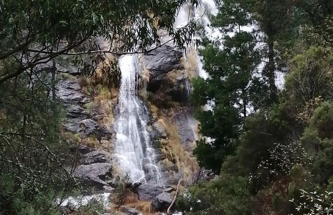 O Cruceiro - Photo 40