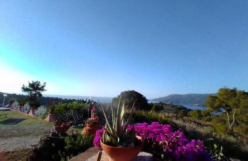 Gavila's Residenza Turistico Alberghiera - Foto 1