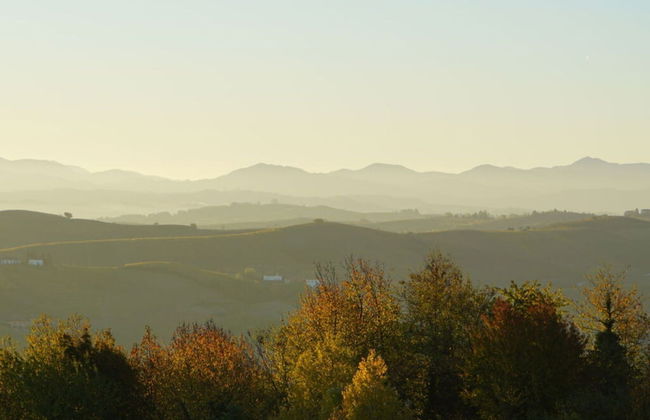 Villa Pesce, Mombaruzzo - Foto 13