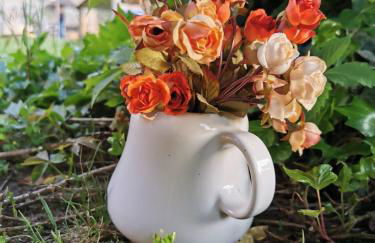 Podere Montecorno - Foto 49