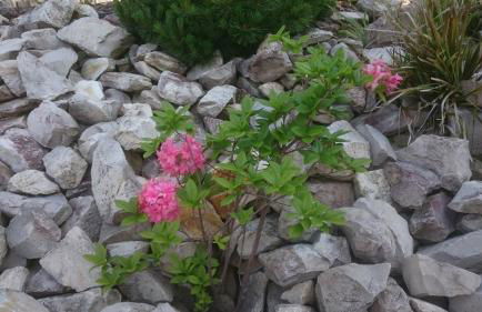 Ferienoase ENGEL - Foto 12