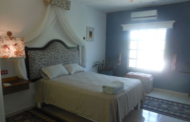 Whole House To Your Self Now Swimming Pool - Photo 4