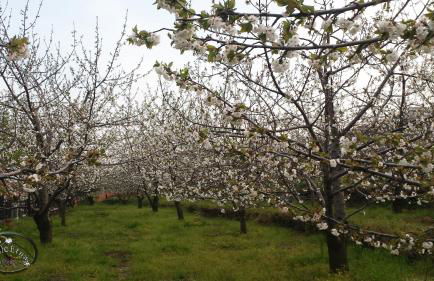 Agriturismo Dolcetna - Foto 25