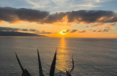 Casa da Estrela - Photo 4