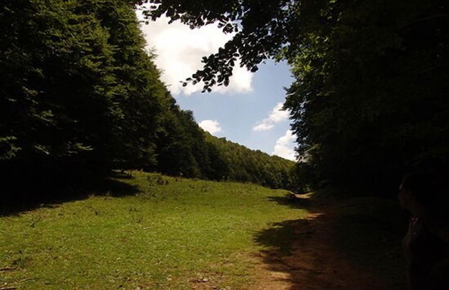 Il Casino di Donna Maria - Foto 62