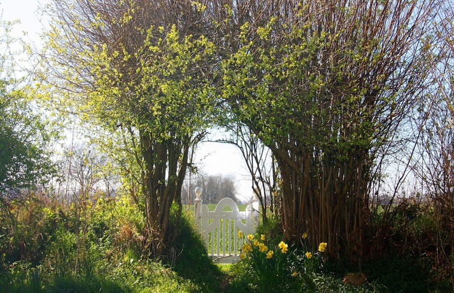 Cottage, Steam - Photo 56