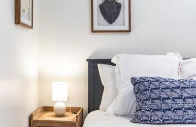 Skee Ball & Yard Games Galore! - Foto 54