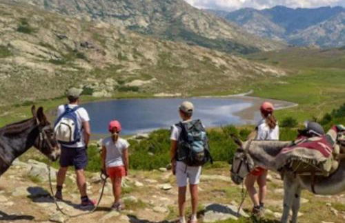 Logement 5 mn de la mer Milla 2 - Foto 19