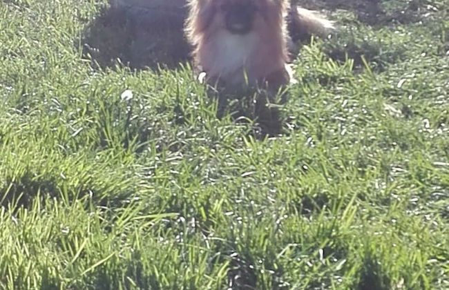 Agriturismo Le Rose - Foto 45