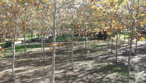 House in Sant Cugat, 25 Mins to Barcelona center - Foto 5