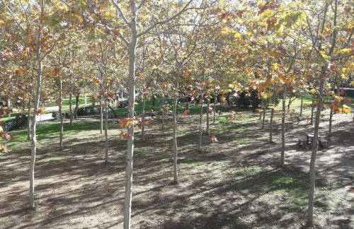 House in Sant Cugat, 25 Mins to Barcelona center - Foto 5