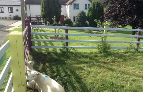 Glan Llyn Farm House - Foto 13