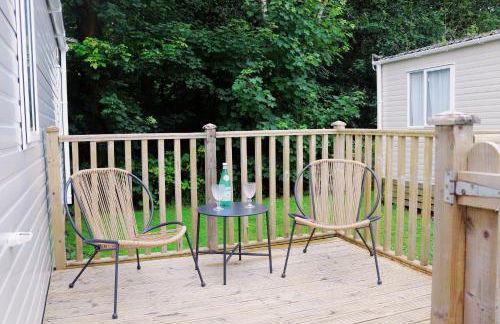 Relax, Enjoy fast Starlink Wi-Fi - Photo 13