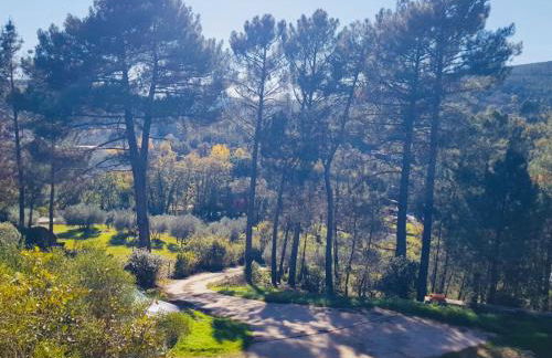 Finca Axarquía de Gredos - Photo 68