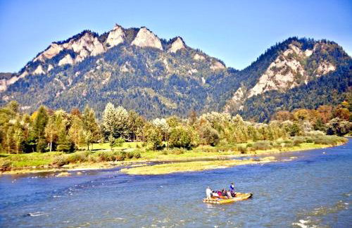 Willa Jagoda duży domek w górach 12-15 osób,jacuzzi, kominek,bilard - Foto 36