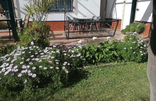 Sevilla a tus pies - Foto 15