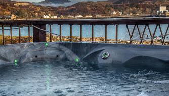 SAORSA CABIN - Foto 5