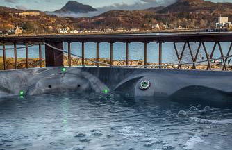 SAORSA CABIN - Foto 5