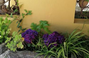 Casa De Campo Colmeal - Foto 42