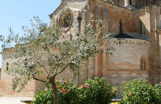 Visita guiada por Toro - Foto 1