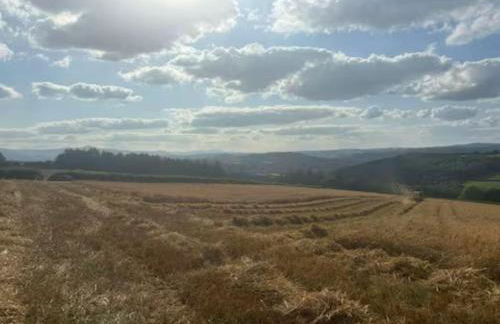 The Cottage at Sychnant Farm - Photo 30