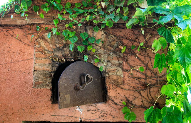 El Cerrillo - Cerro Negro - Photo 19