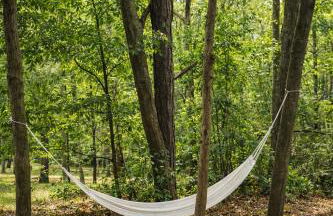 The Quiet Garden Studio - Decatur- Free Parking - Foto 42