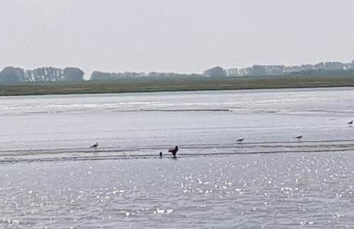 Ferienwohnung beim Bracksee - Photo 25