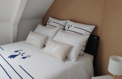 Terrasse du Mont St Michel, vue imprenable, appart cosy proche Mont St Michel - Foto 16