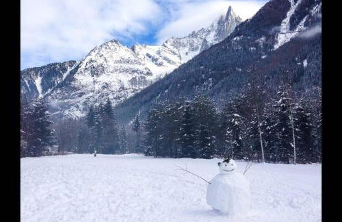 Apartment Chinook,La Praz,Chamonix Mont Blanc - Photo 63