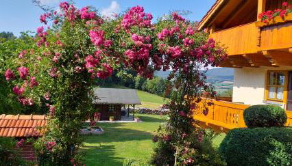 Ferienwohnung Steinbeisser - Photo 3, Garden, Garden view