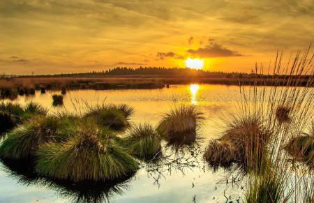 Ferienhaus Kirschblüte - Foto 38