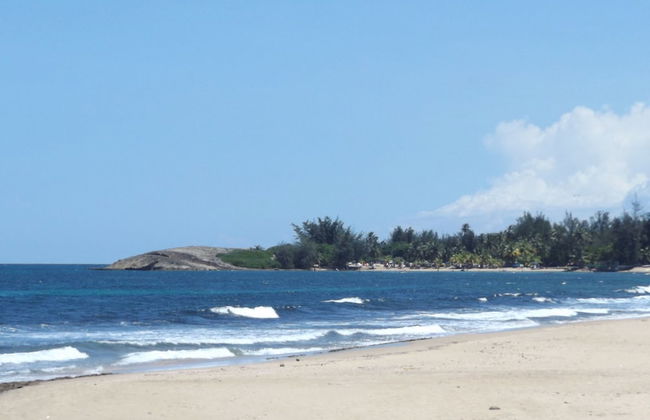 Wilderness Ramey Apartments - Photo 27