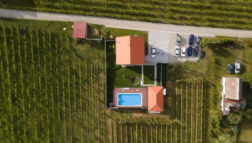 Vineyard Vila 01 by GREEN Croatia - Foto 4